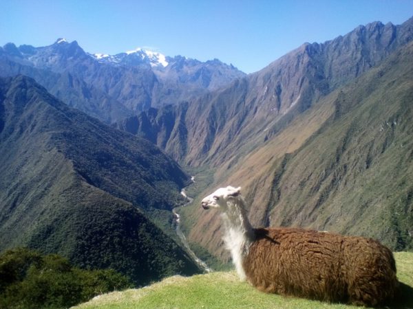 4 Day Private Inca Trail Trip / Partial Deposit