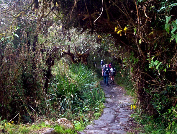 VILCABAMBA TREK