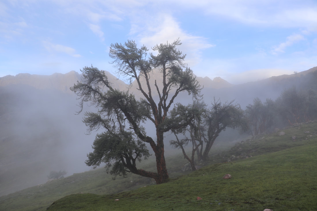 LARES TREK TO MACHU PICCHU