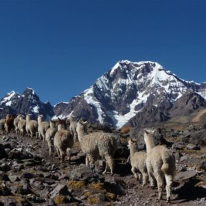 Ausangate Trek