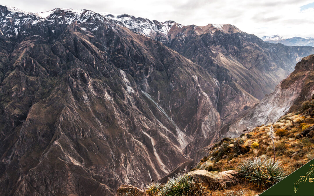 Colca Canyon Trip