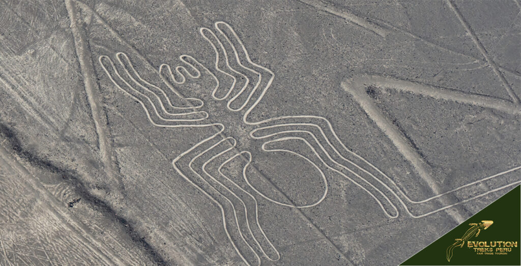 Nazca lines