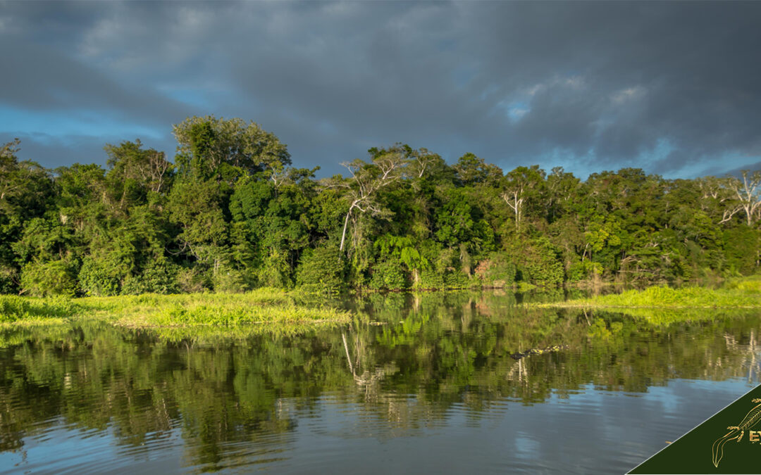 Manu National Park Trip