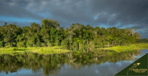 Manu National Park Trip