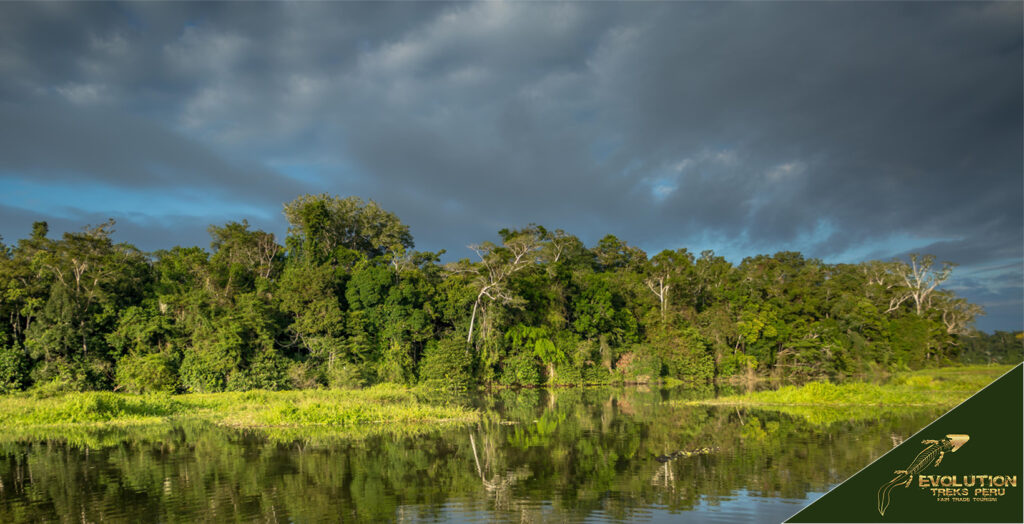 Tambopata Trip