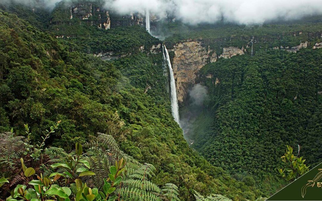 Gocta Waterfall Trip