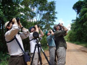 A Feathered Paradise: Discover the Marvels of Birdwatching in Peru