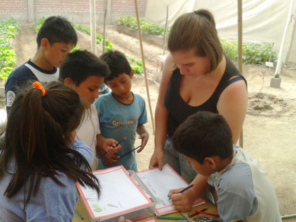 Embrace Impact while traveling: Your Ultimate Guide to Volunteering in Peru.