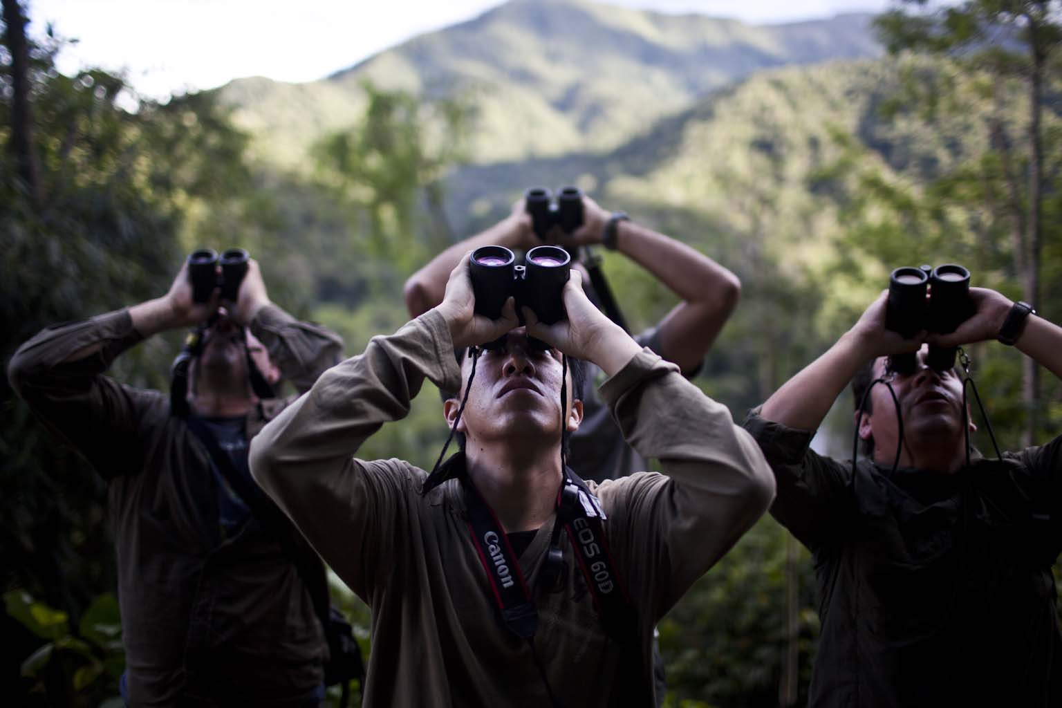 A Feathered Paradise: Discover the Marvels of Birdwatching in Peru