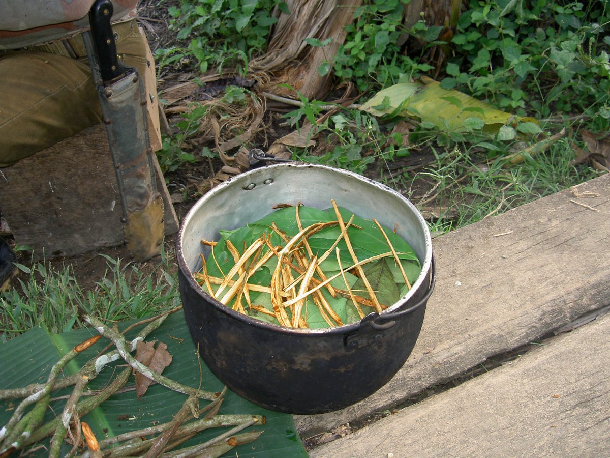 Embark on a Soulful Expedition: The Ultimate Guide to Ayahuasca Retreat in Peru