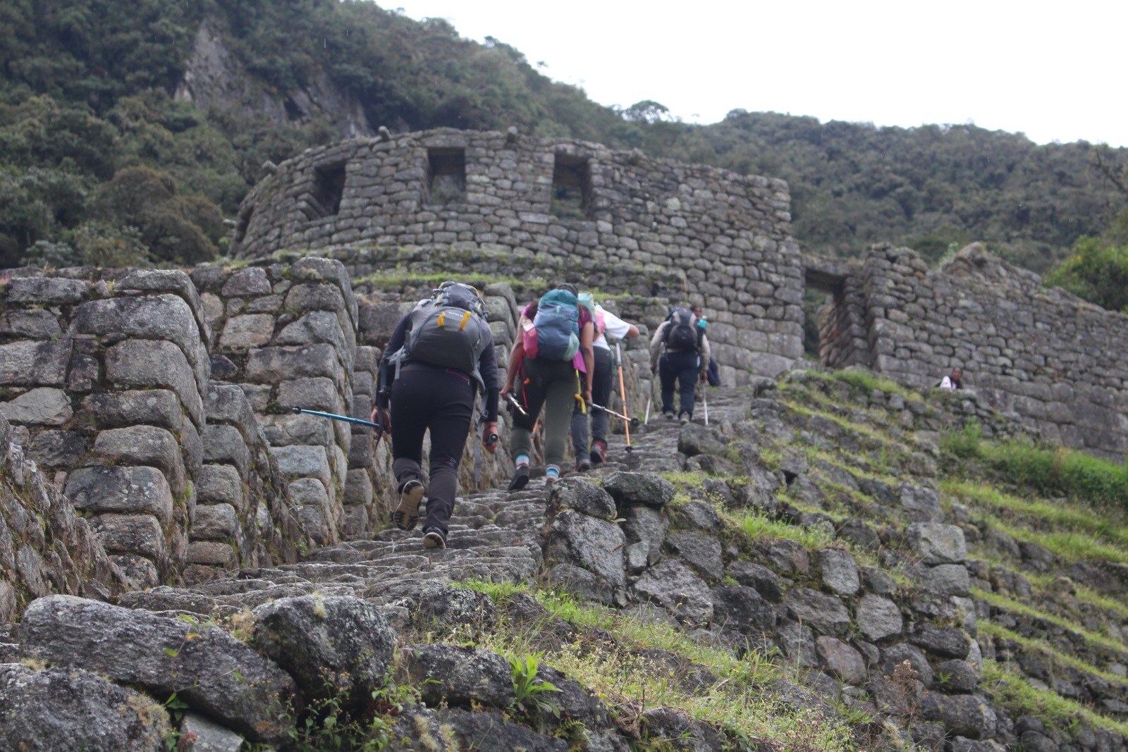 The Inca Trail trek – everything you need to know! - Where Charlie Wanders