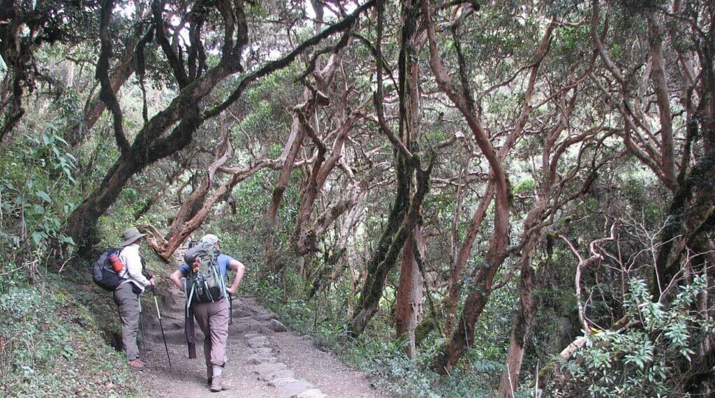 Inca Jungle Trail Trip Tour