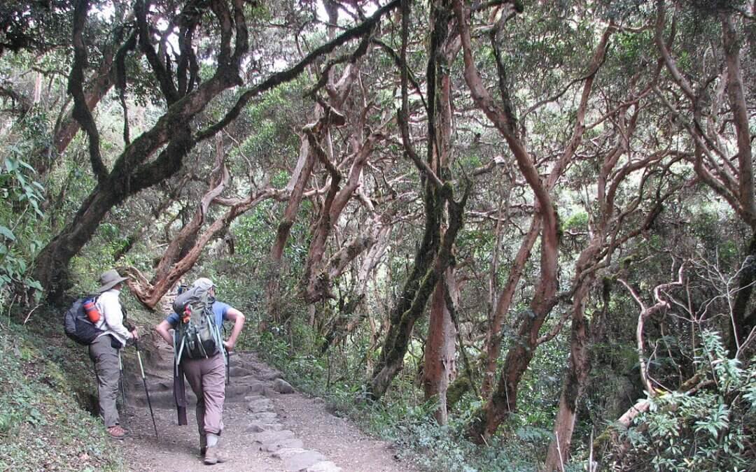 Inca Jungle Trail Trip Tour