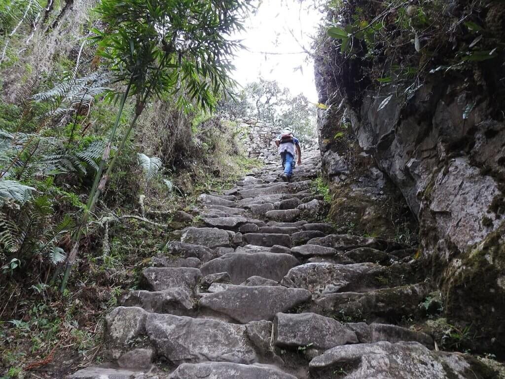 Inca Trail 4-Day Trip Tour