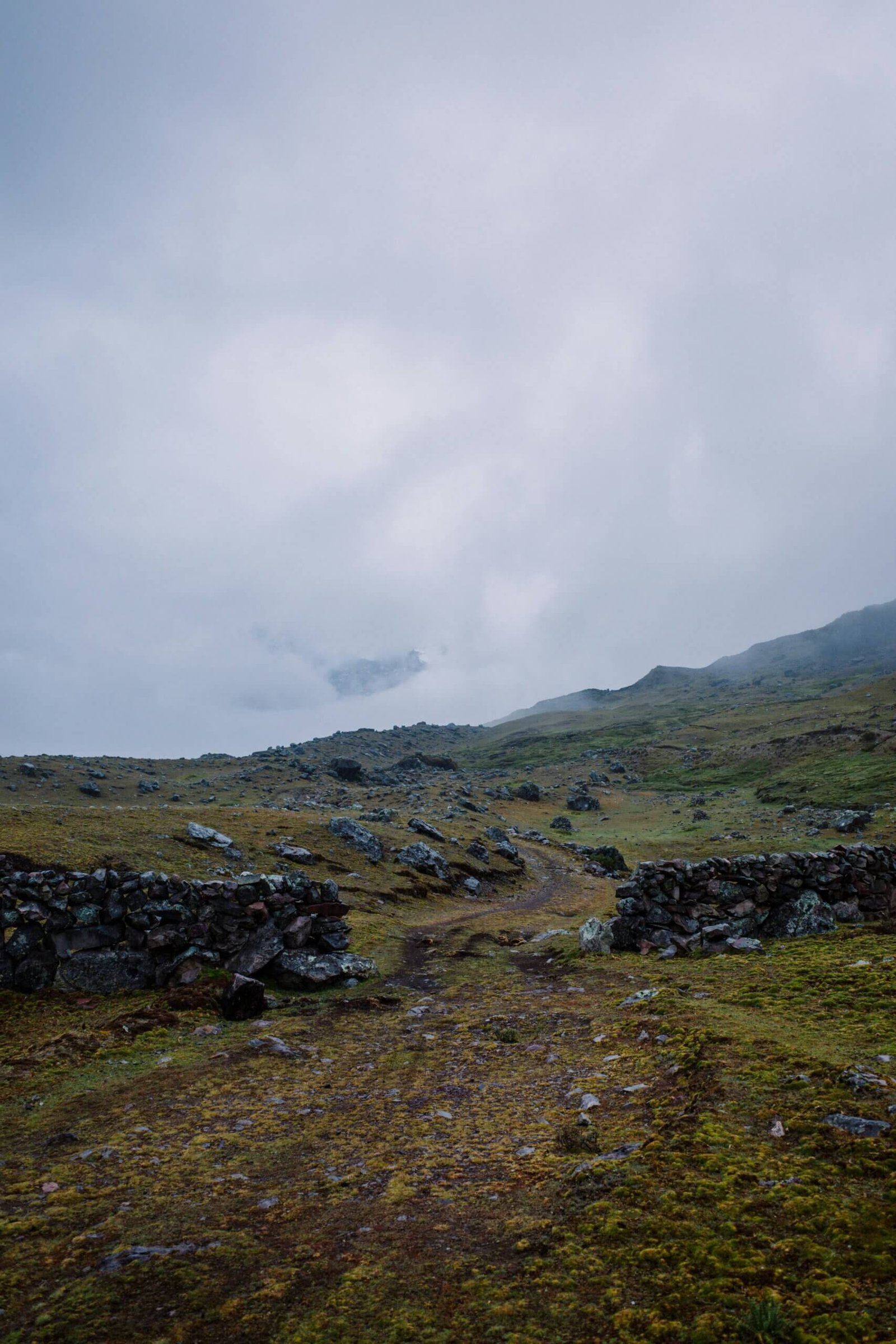 Dientes de Navarino Trek